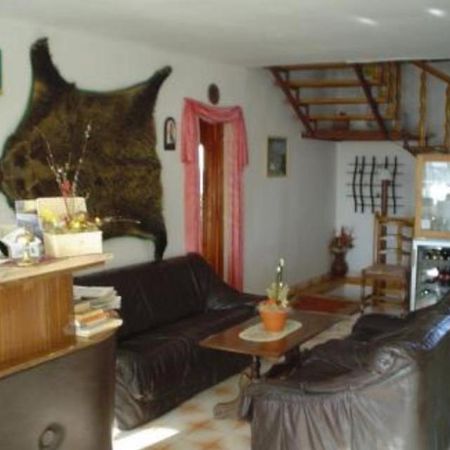 Novak Panzio Bed and Breakfast Tokaj Zewnętrze zdjęcie