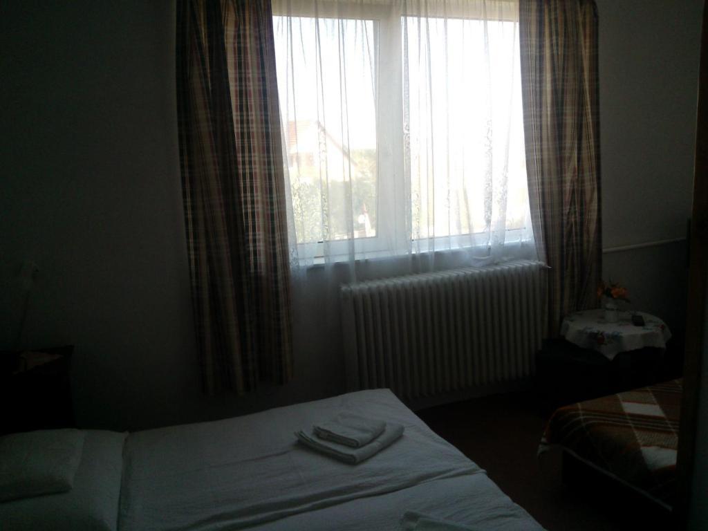 Novak Panzio Bed and Breakfast Tokaj Zewnętrze zdjęcie